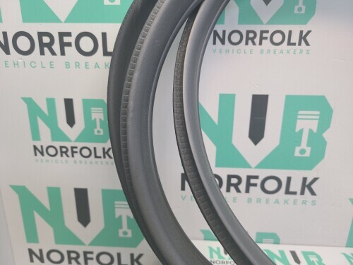 2024 Nissan Juke F16E Door Seal Rear Left