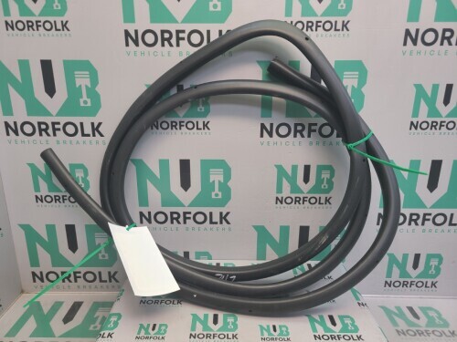 2024 Nissan Juke F16E Door Seal Rear Left