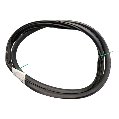 Jaguar I Pace X590 Front Left Door Seal