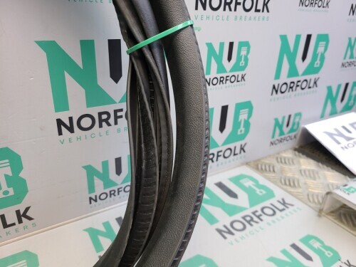 Jaguar I Pace X590 Front Left Door Seal