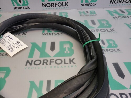 MG ZS Front Left Door Seal