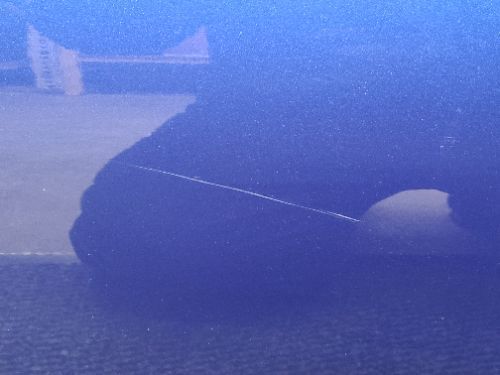 BMW 3 Series G20 Door  Front Right Portimao Blue