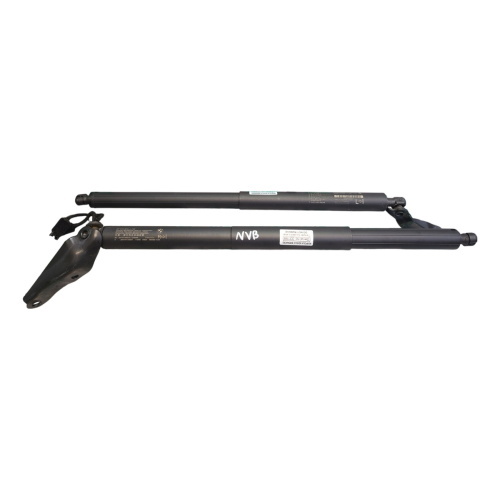 BMW X2 F39 Tailgate Struts