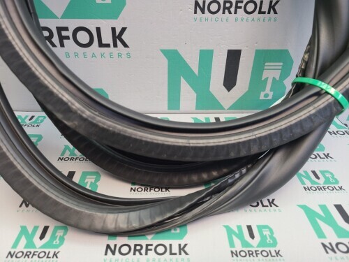 Peugeot 208 P21 Rear Left Door Seal