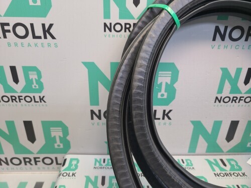 Peugeot 208 P21 Rear Left Door Seal